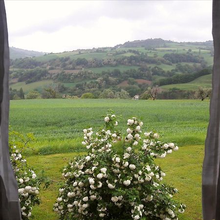 Bed and Breakfast Le Bumbarelle Tavoleto Экстерьер фото
