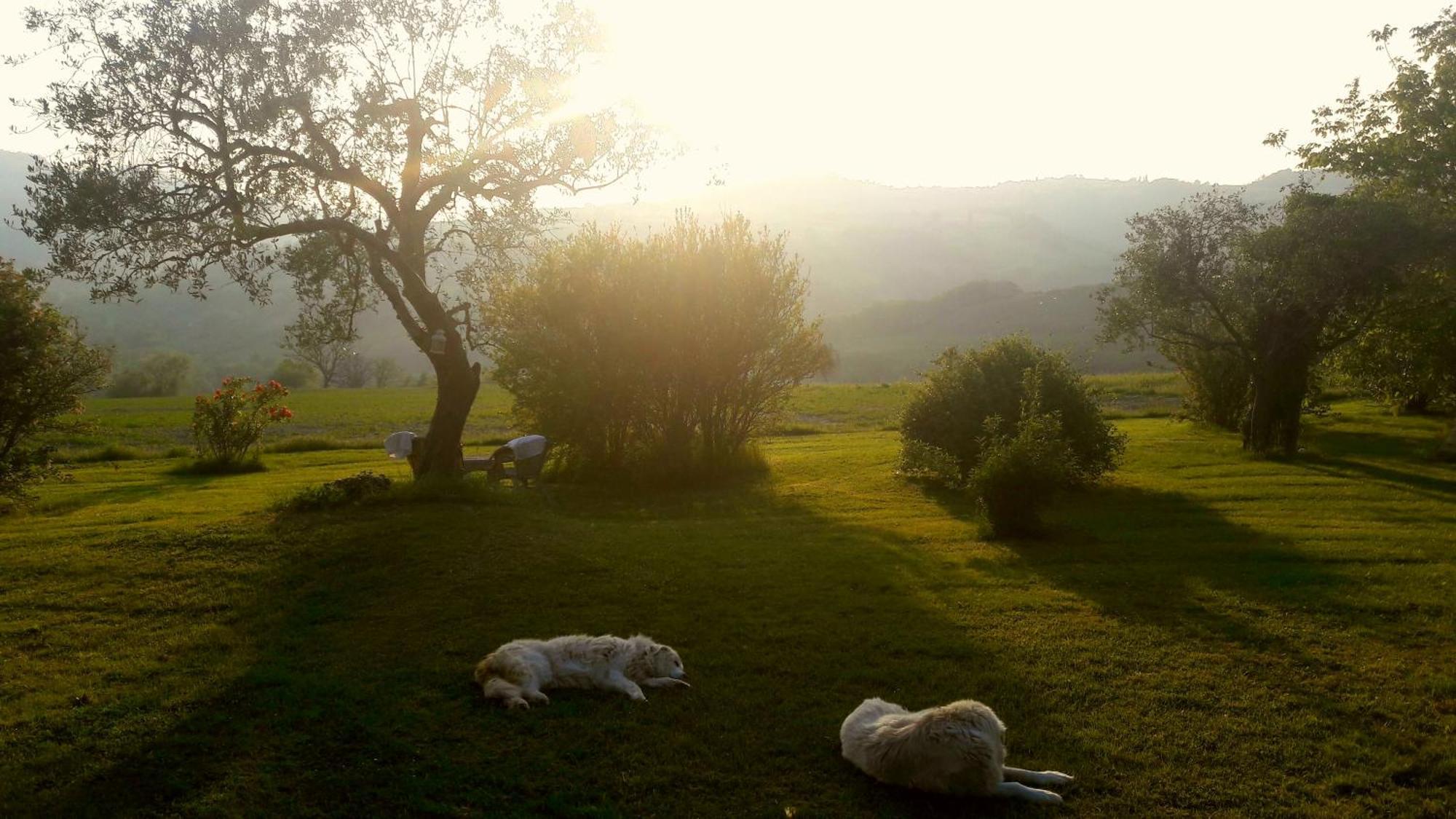 Bed and Breakfast Le Bumbarelle Tavoleto Экстерьер фото