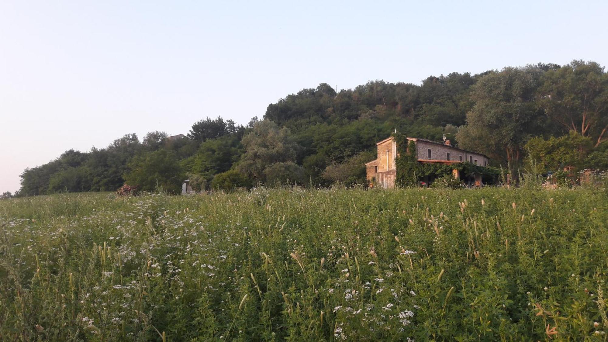 Bed and Breakfast Le Bumbarelle Tavoleto Экстерьер фото
