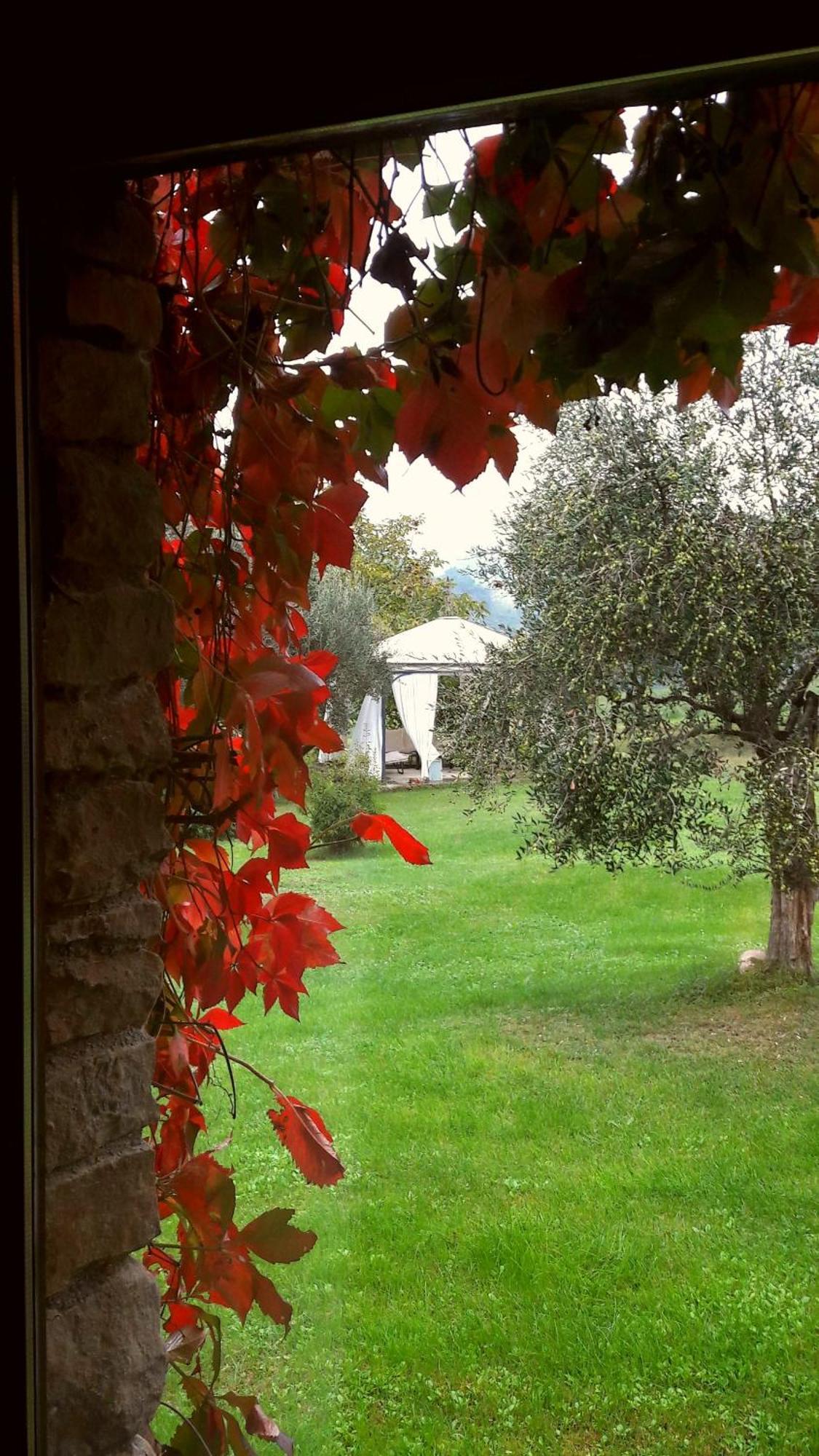 Bed and Breakfast Le Bumbarelle Tavoleto Экстерьер фото