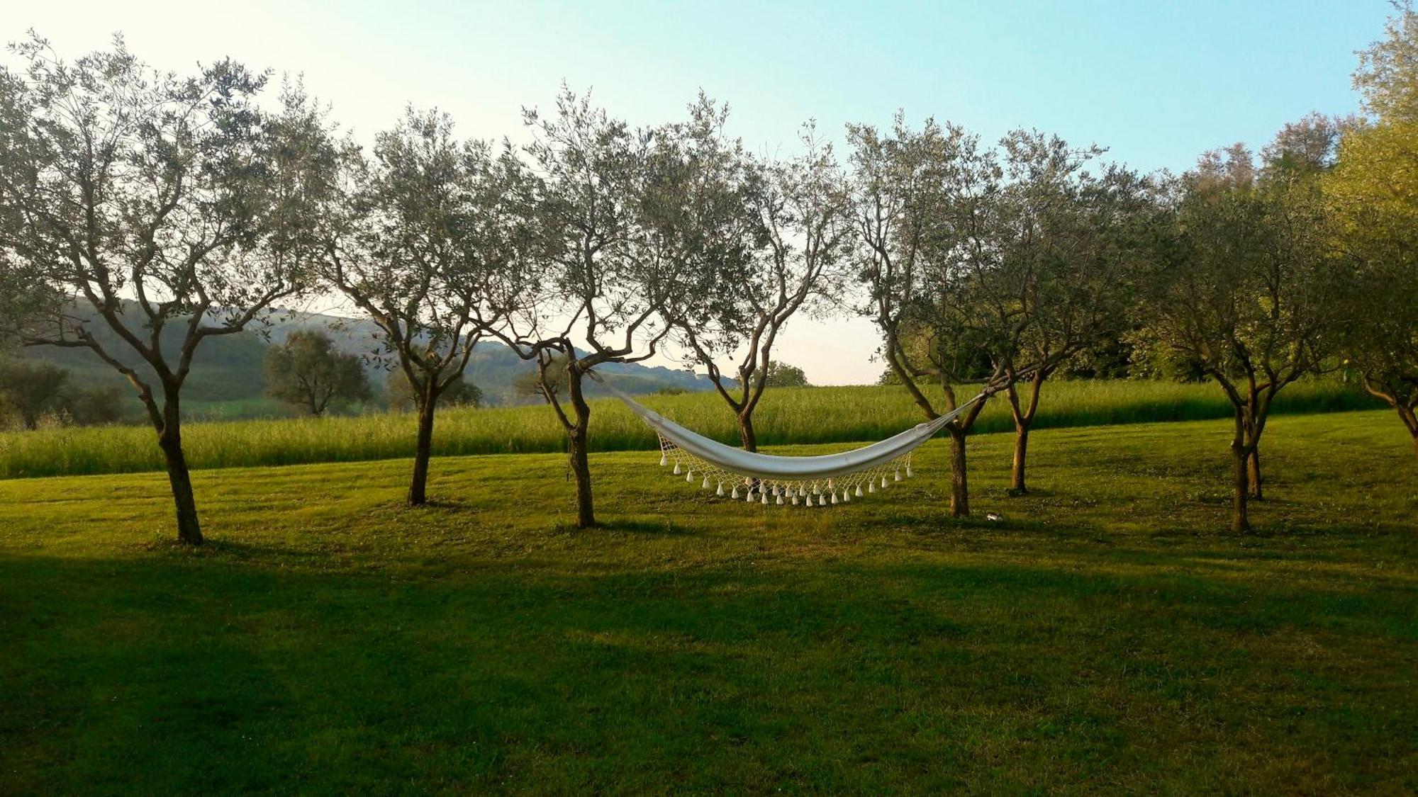 Bed and Breakfast Le Bumbarelle Tavoleto Экстерьер фото
