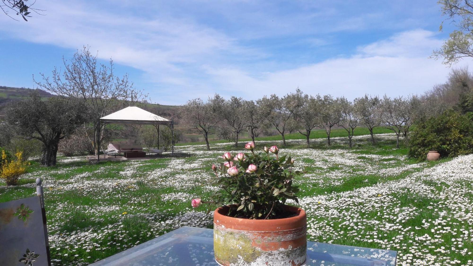 Bed and Breakfast Le Bumbarelle Tavoleto Экстерьер фото