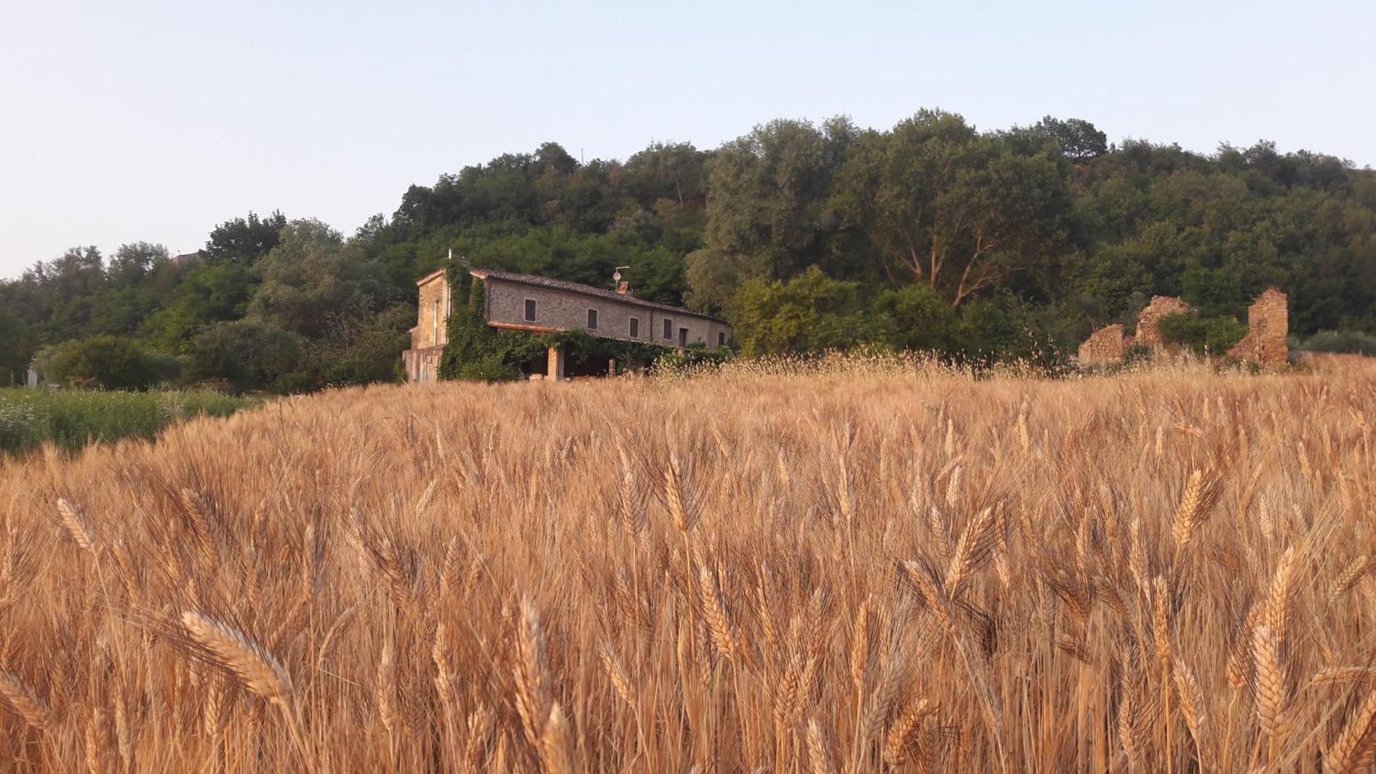 Bed and Breakfast Le Bumbarelle Tavoleto Экстерьер фото