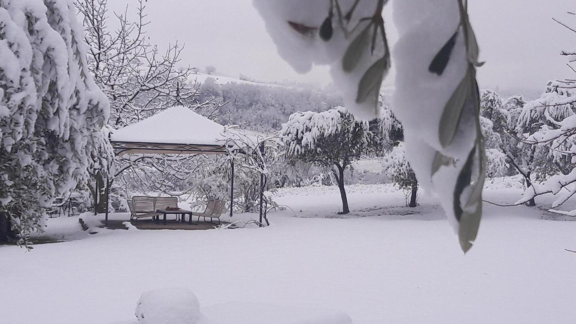 Bed and Breakfast Le Bumbarelle Tavoleto Экстерьер фото
