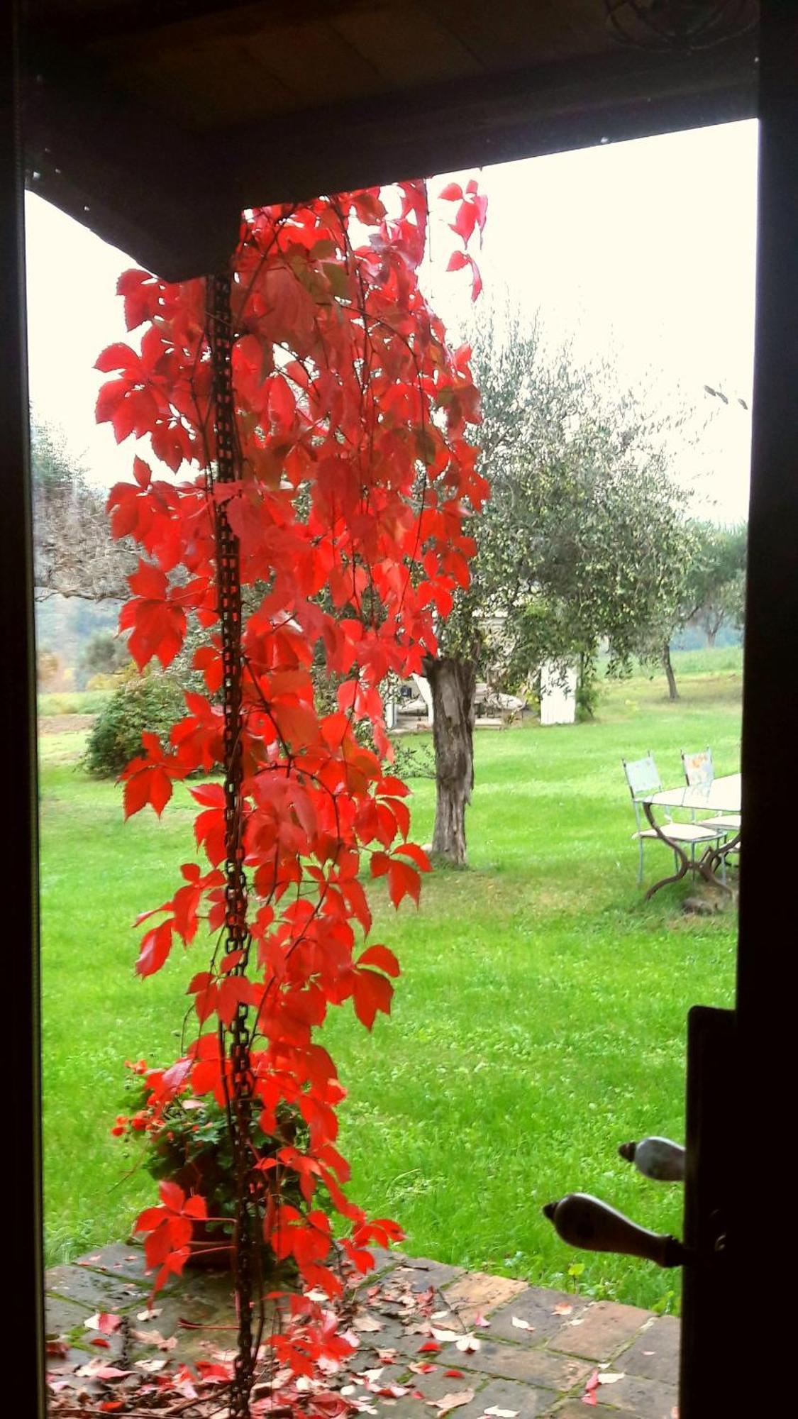 Bed and Breakfast Le Bumbarelle Tavoleto Экстерьер фото