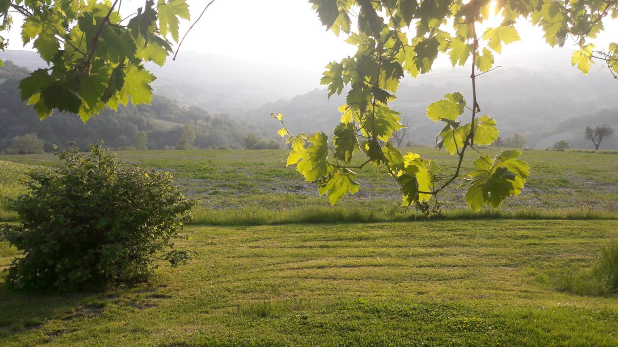 Bed and Breakfast Le Bumbarelle Tavoleto Экстерьер фото