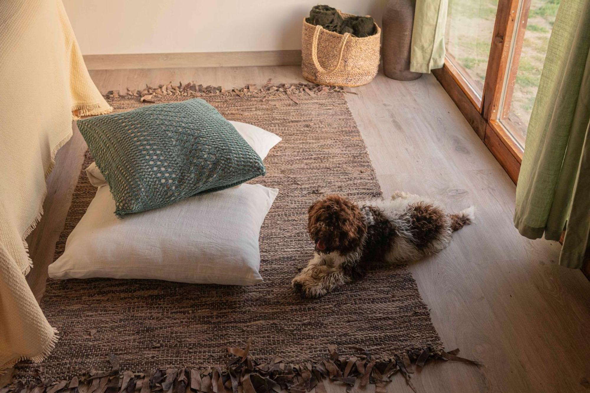 Bed and Breakfast Le Bumbarelle Tavoleto Экстерьер фото
